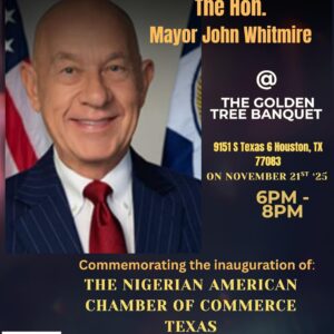 Nigerian American Chamber of Commerce Texas, Inauguration
